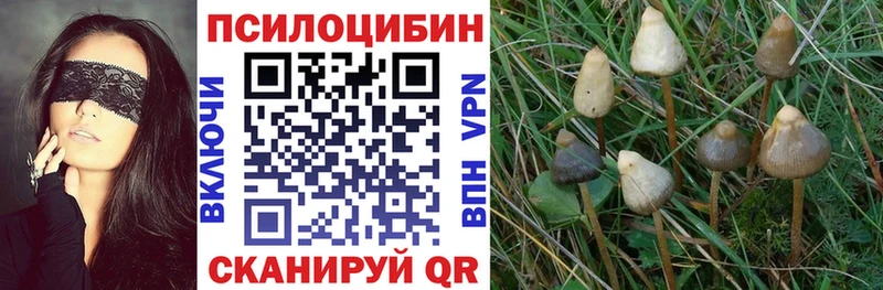 Купить где  Энем  Галлюциногенные грибы Magic Shrooms 